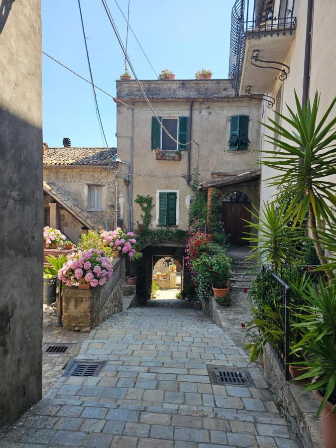 Domus Claudia Villa Castiglione In Teverina ภายนอก รูปภาพ