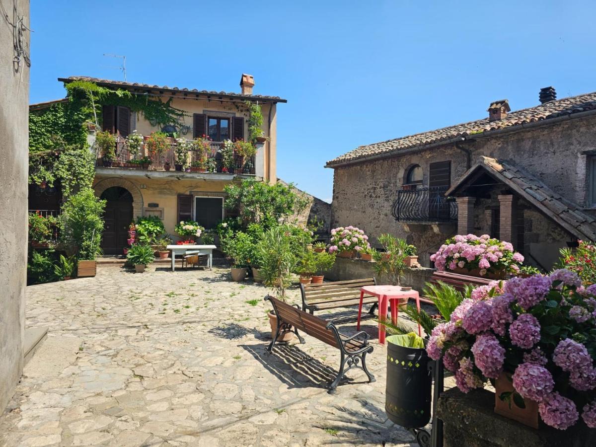Domus Claudia Villa Castiglione In Teverina ภายนอก รูปภาพ